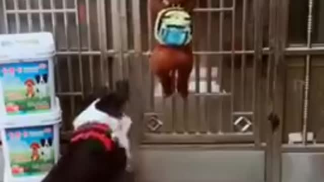 Ayudando un poquito