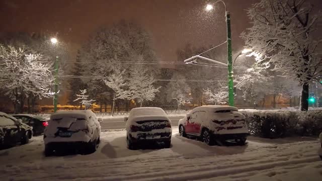 I will watch snow with you in winter