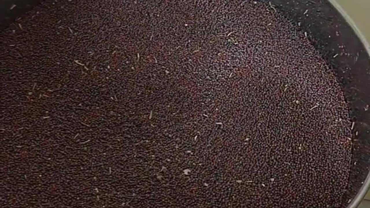 Mustard oil extraction