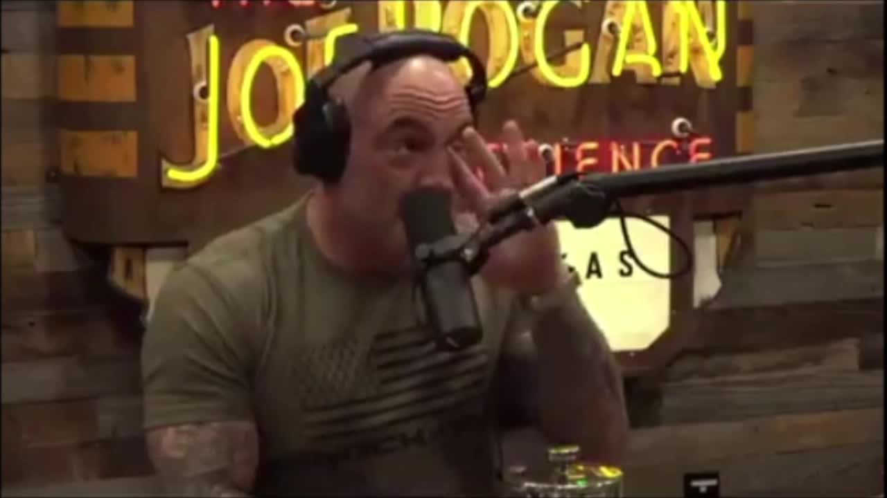 Biden's losing his mind