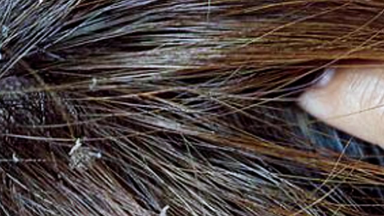 El jugo de aloe vera proporciona una barrera para el cabello