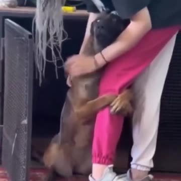 Dog's heartwarming reaction to being rescued.. 🥺