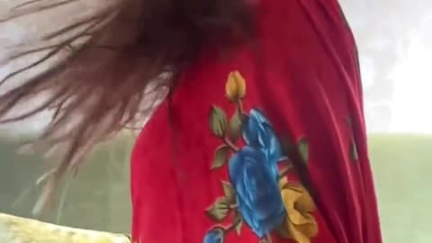 Hot girl in red saree