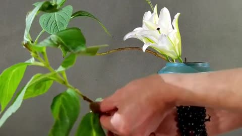 Flower ASMR