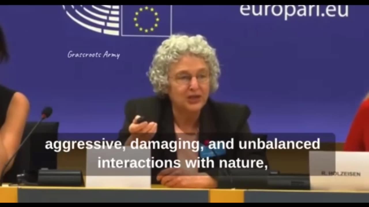 Dr Meryl Nass at European Parliament On WHO Takeover