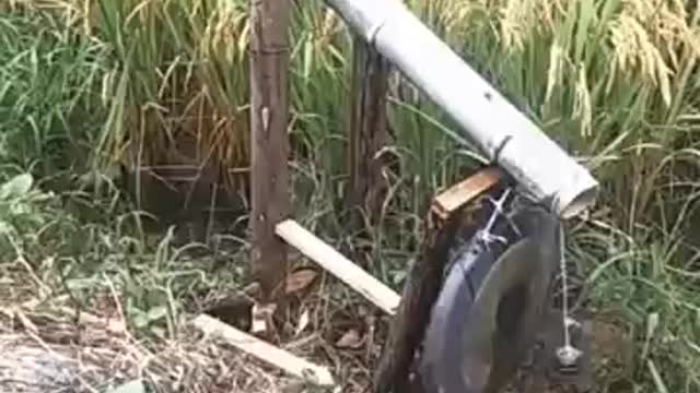bird repellent in the fields