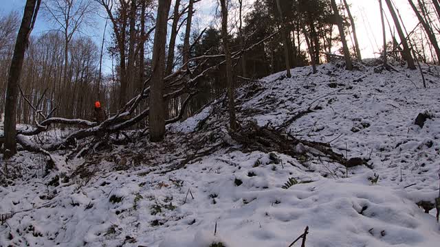 Tree Top Clean Up 1/19/2021 Part 3