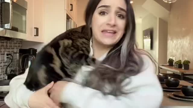 Clingy cat problems