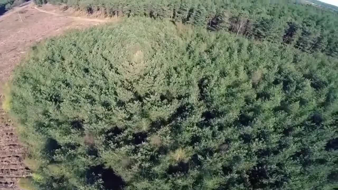 20 weird things caught by drone