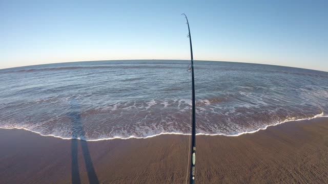 Jersey bass on bucktail