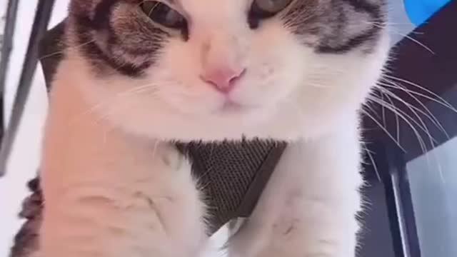 feet cleaning