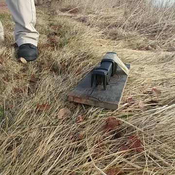 Couple Regrets Freeing Mouse From Trap When It Crawls Into Their Pants