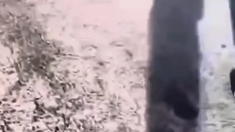 Truckers discover nails on the road