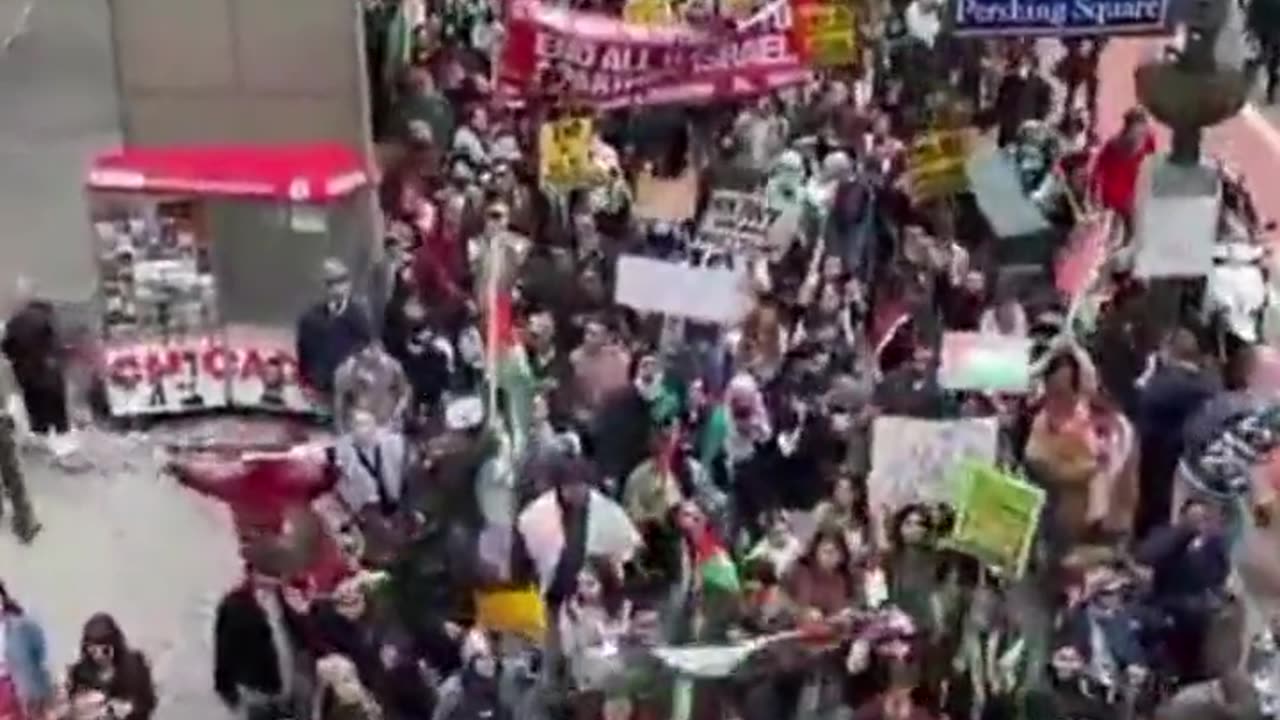 Hundreds of protesters rally in support of Hamas and terorists in Palestine in New York City