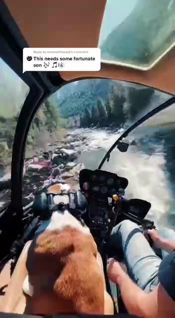 Helicopter Bulldog