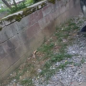 My song to Lola cuz she's awesome