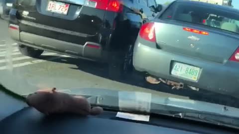 Twerking Road Rage