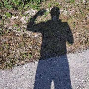 10,000 Islands Nat'l Wildlife Refuge, Naples, Florida 1/17/24 Ray