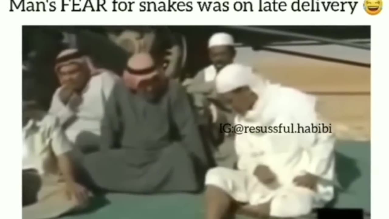 Arab memes funny videos that will have you rolling (Part 1)