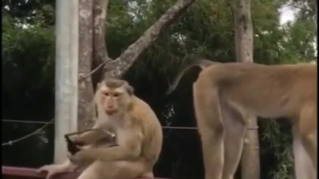 Comedy video scenes 😂😂😛😛