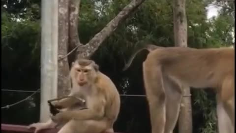 Comedy video scenes 😂😂😛😛