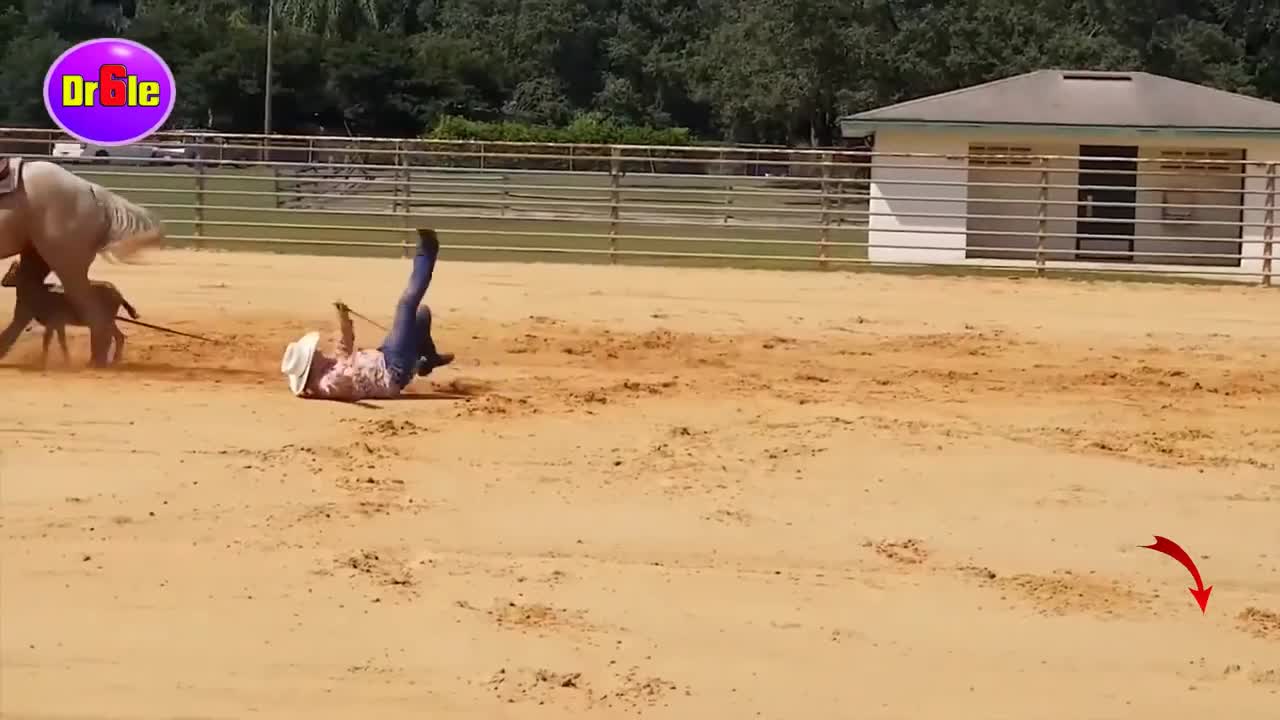 Horse Fall | Trying Not To Laugh. Laughing Funny Video | Fail on Horseback