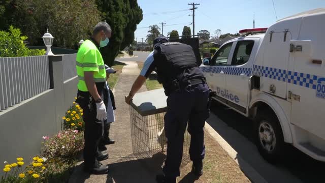 Cop Becomes Young Leukemia Sufferers Hero For Offering To Take Pet Rooster To Farm