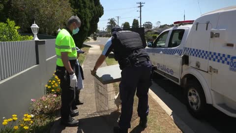 Cop Becomes Young Leukemia Sufferers Hero For Offering To Take Pet Rooster To Farm
