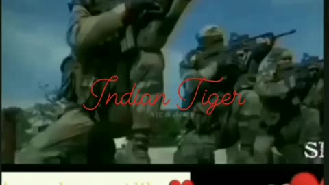 The Indian 👨‍✈️👨‍✈️👨‍✈️👨‍✈️💪💪💪❤❤💓Tiger🇮🇳🇮🇳🇮🇳🇮🇳