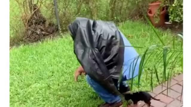the dog he said he didn't want