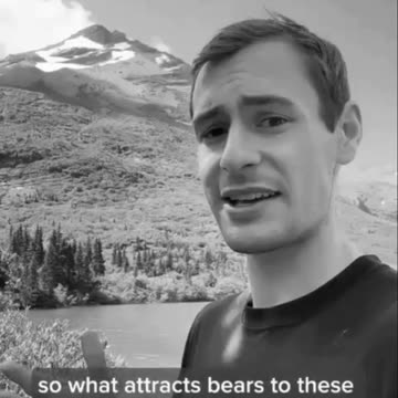 Grizzly Bear Fun Facts