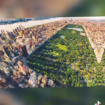 WHAT'S UP DOC? ME, IS WHAT'S UP