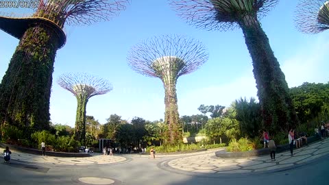 Singapore's Garden By The Bay