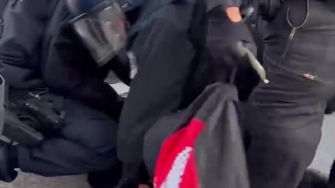 German Police at it again