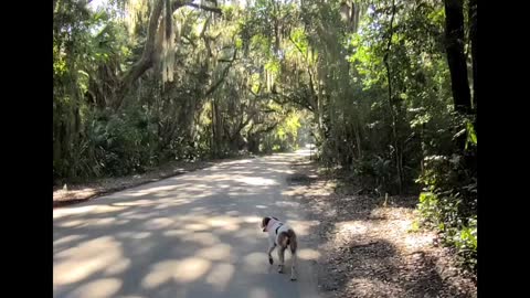 For the Abused and Broken