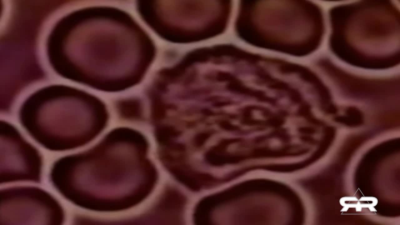 IRREFUTABLE EVIDENCE The COVID-19 Vaccines Are Killing People