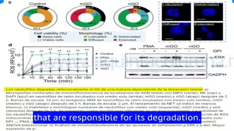 Mrna gentherapie