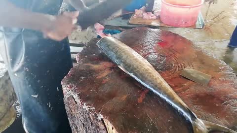 Fastest Slicing Seer Fish | Fish Cutting Experts