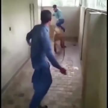 Lion attacks man #shorts