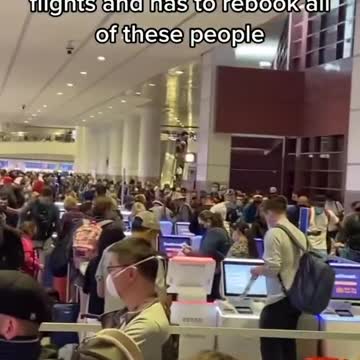 PROTESTS ARE WORKING! 55 FLIGHTS CANCELLED! ONLY 4 desk agents at Southwest!