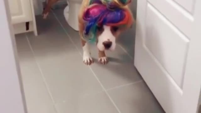 Now that's a good girl xDD