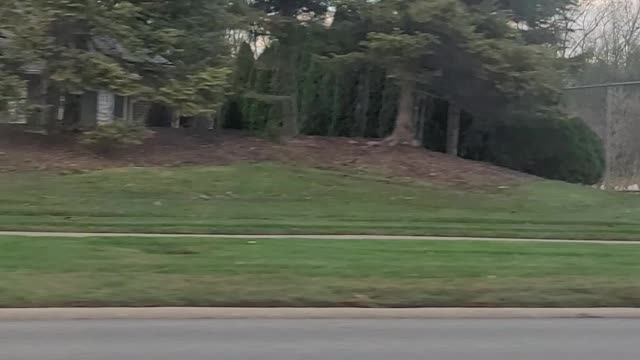 Thanksgiving execution