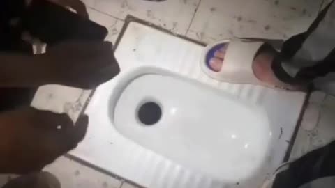 Fishing in the toilet 😲🤢