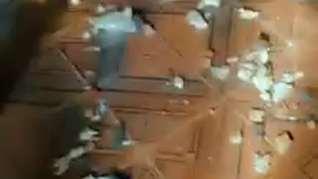 PITBUII ripped sofa