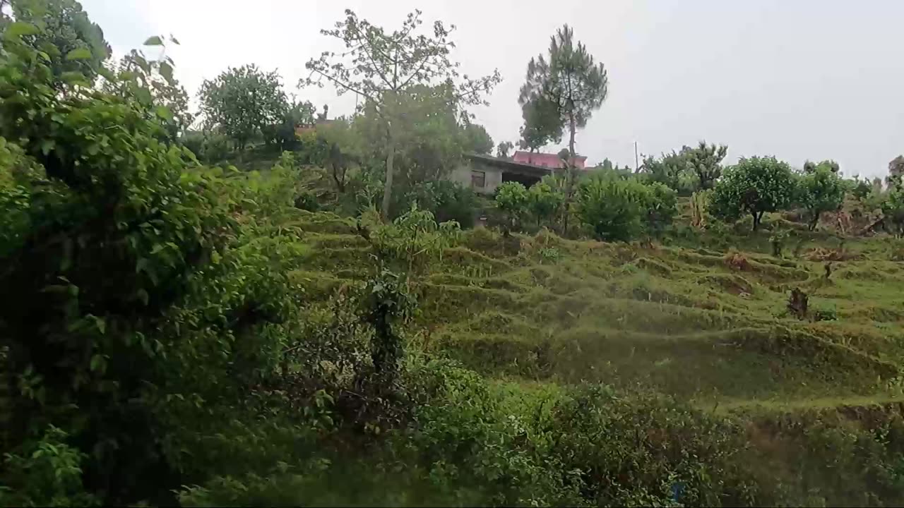 pindari glacier route with music