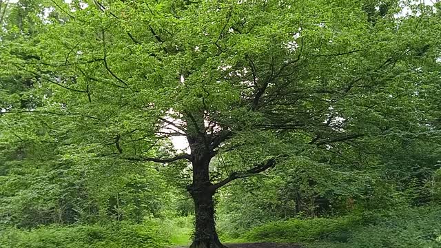 le reveil va etre brutal