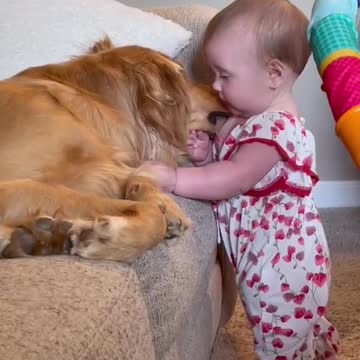 Obsessed is an understatement