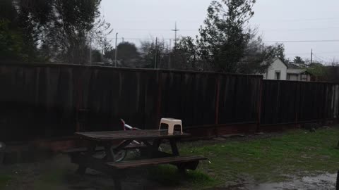 Finally, California Got Rain!