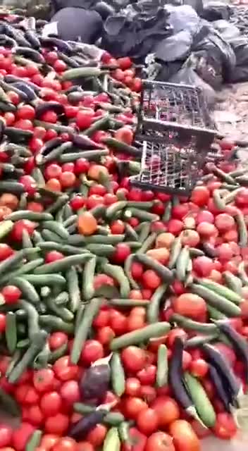 Zerstörung Nahrungsmittel crops