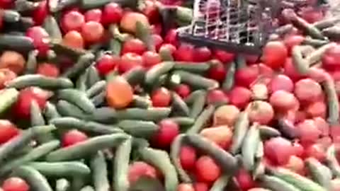 Zerstörung Nahrungsmittel crops